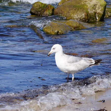 Апартаменты Namenlos Кюлунгсборн